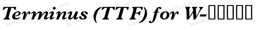 Terminus (TTF) for W字体转换